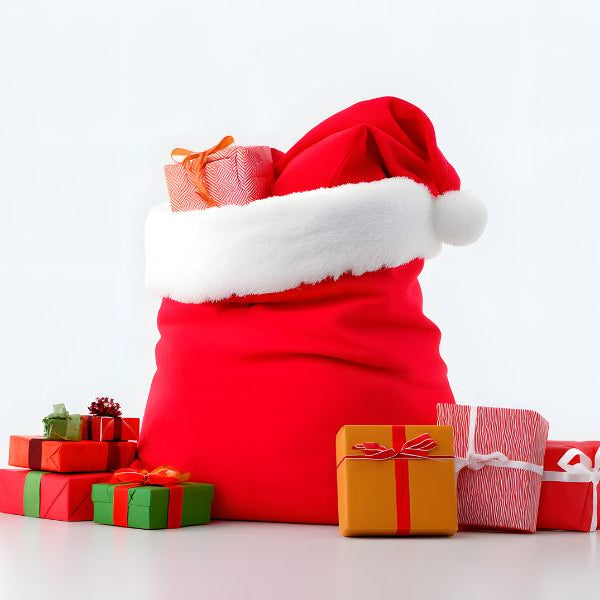 Santa's Sack with presents 